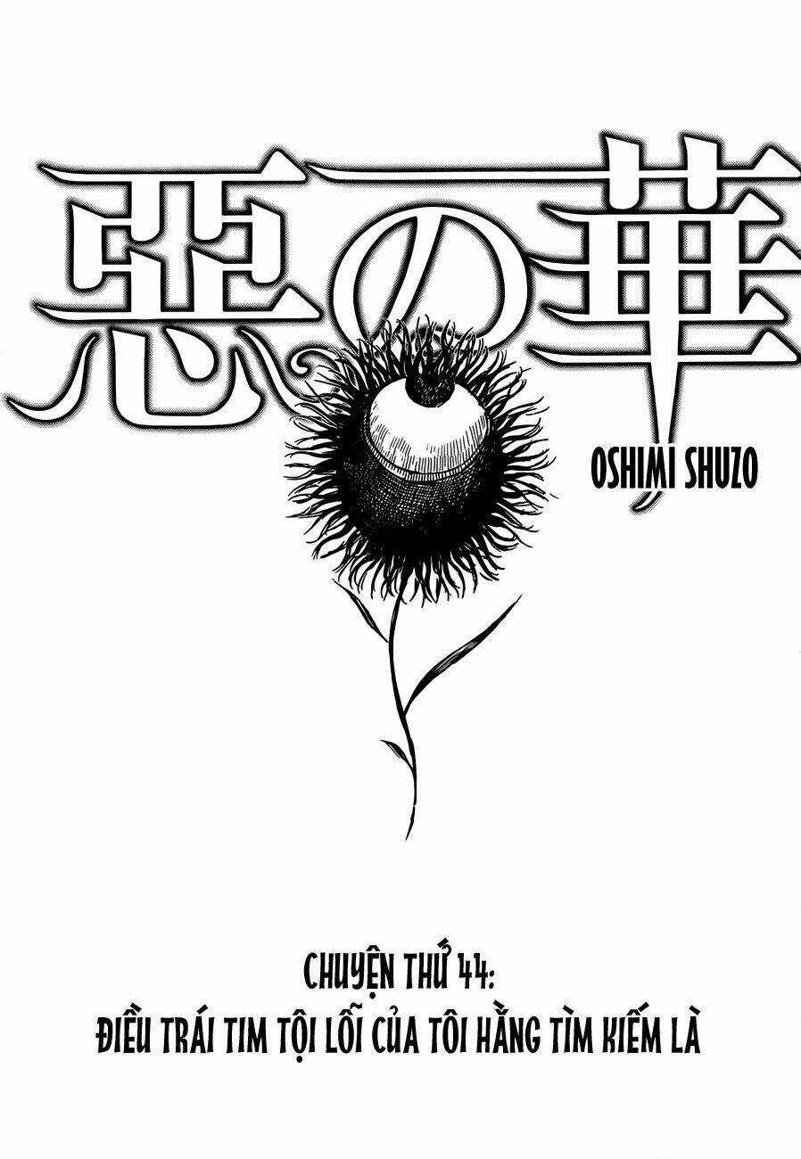 Aku No Hana - Những Bông Hoa Ác Chapter 44 trang 1