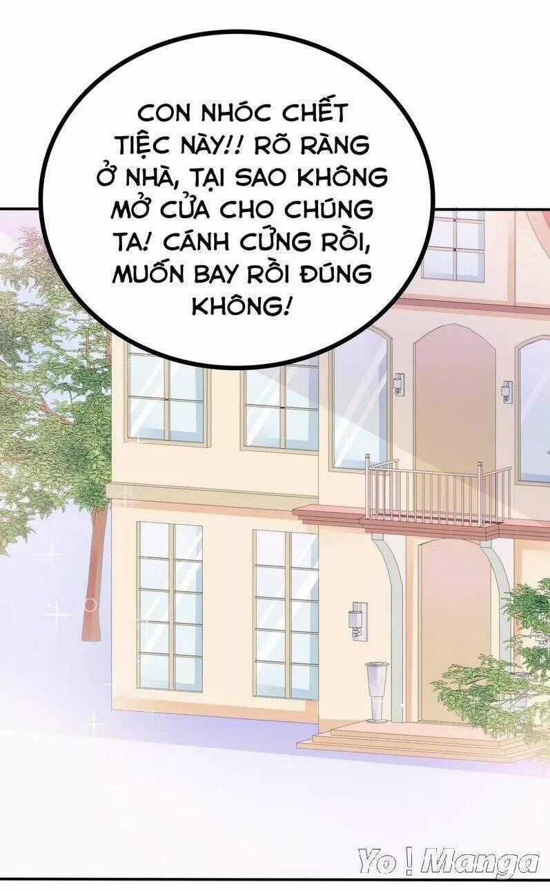 Băng Sơn Tổng Tài Cường Sủng Thê Chapter 77 trang 1