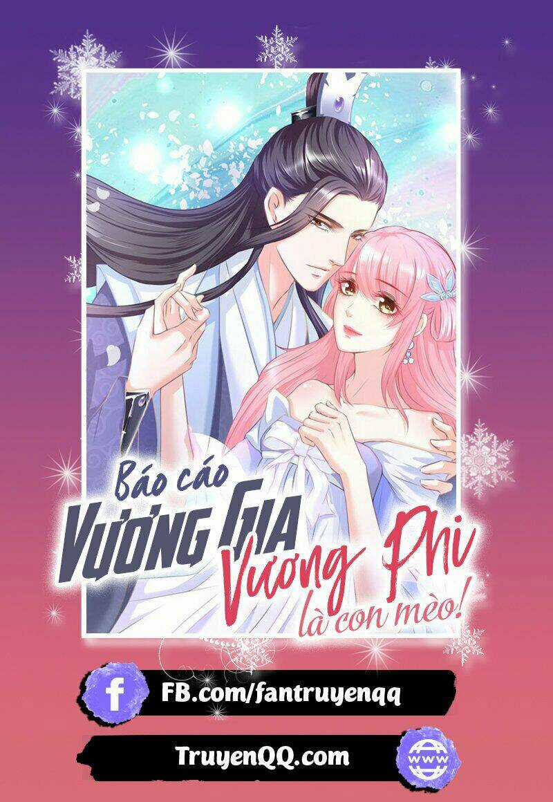 Báo Cáo Vương Gia, Vương Phi Là Một Con Mèo Chapter 2 trang 0