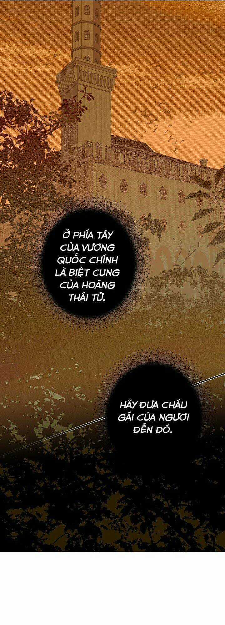 Bí Mật Của Quý Cô Chapter 7 trang 1