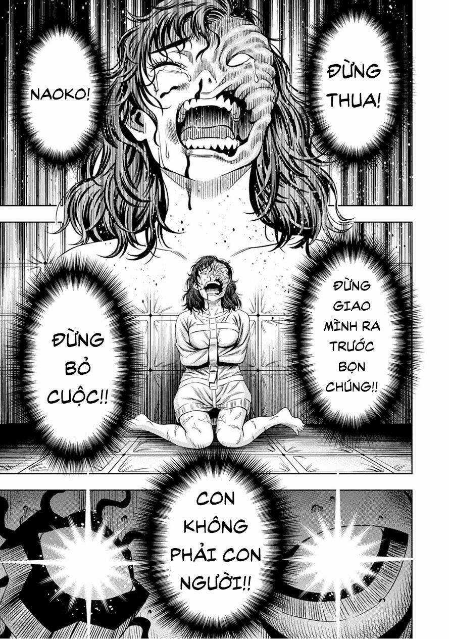 Bí Ngô Cuồng Sát Chapter 51 trang 1