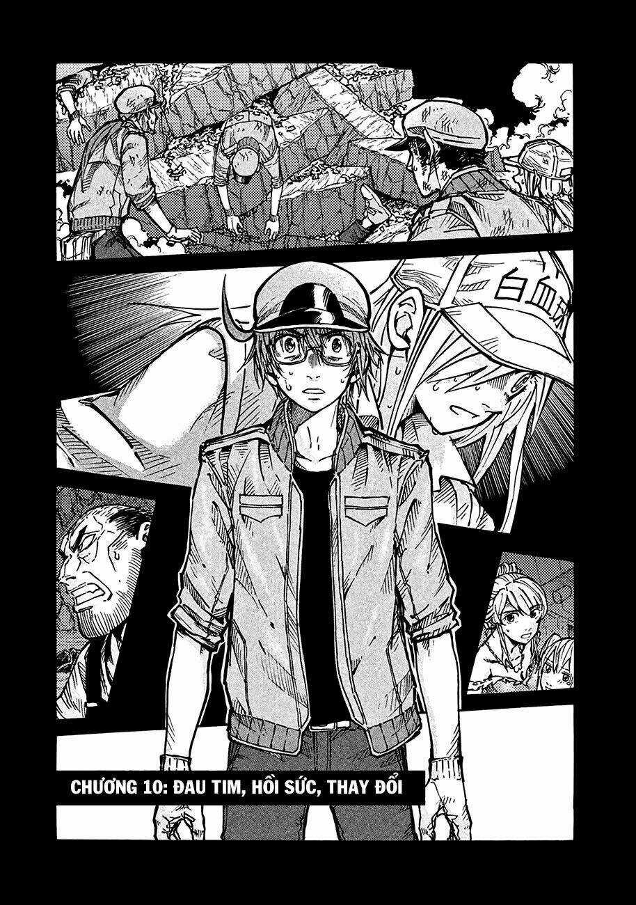 Biệt Đội Tế Bào Black - Hataraku Saibou Black Chapter 10 trang 1