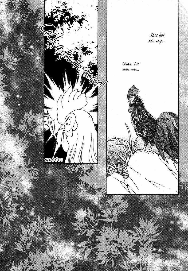 Bird Of Youth Chapter 7 trang 1