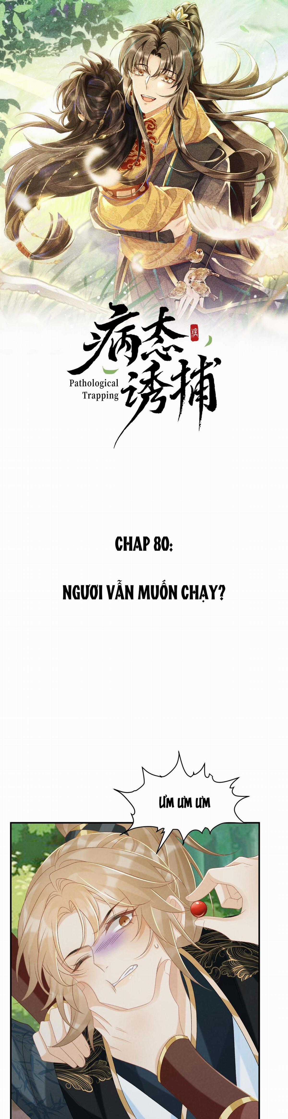 Cạm Bẫy Của Kẻ Biến Thái Chapter 80 trang 0