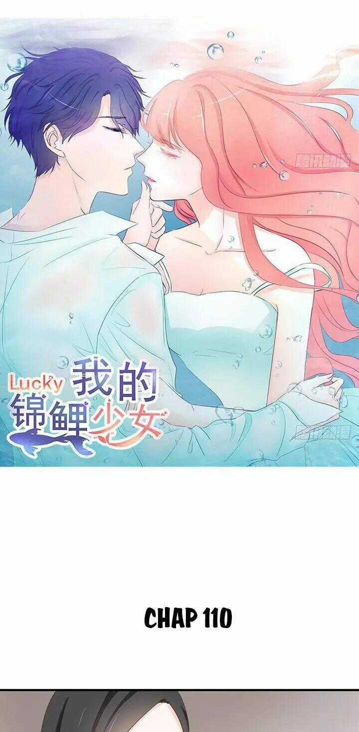 Cẩm Lý Thiếu Nữ Của Tôi Chapter 110 trang 1