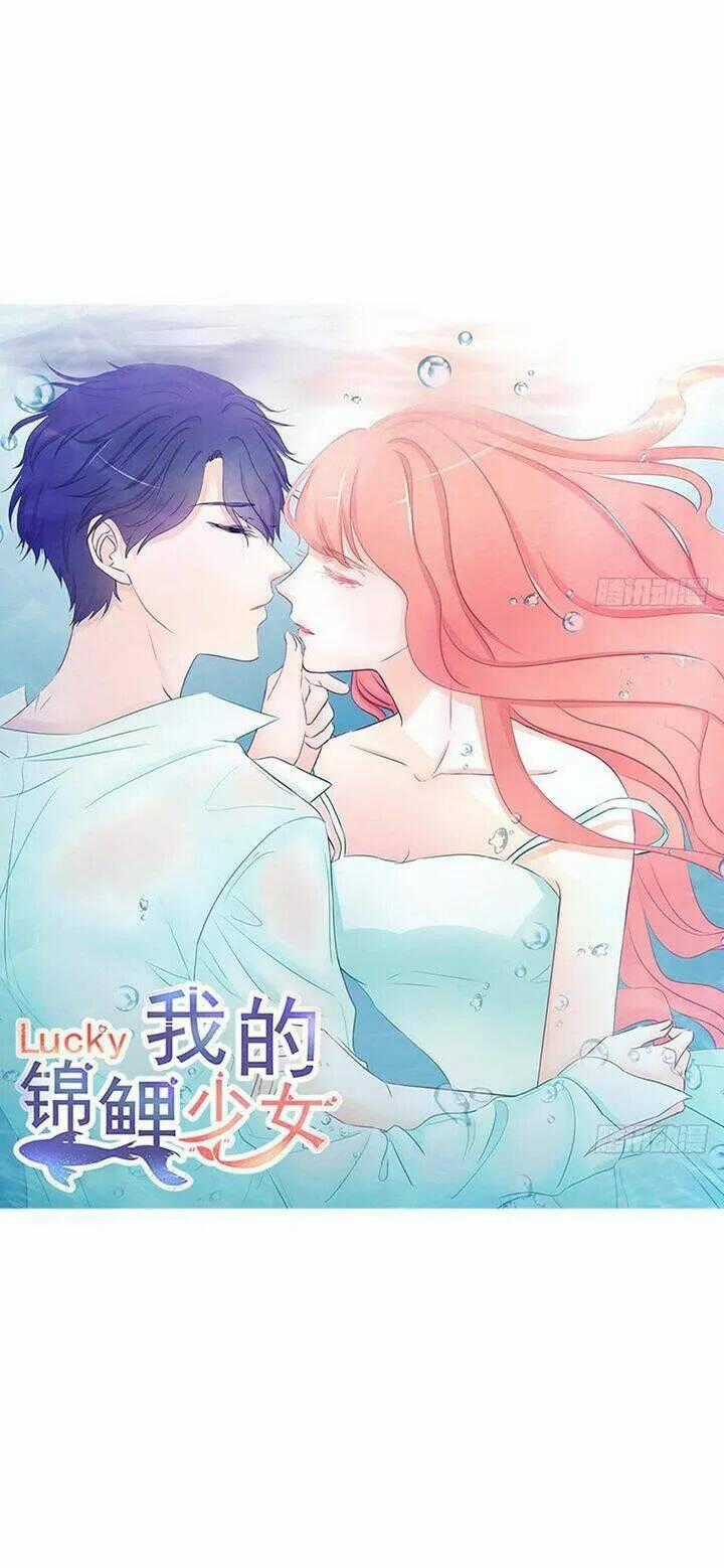 Cẩm Lý Thiếu Nữ Của Tôi Chapter 116 trang 1