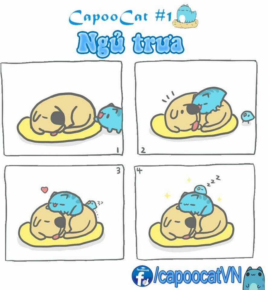 Capoo Cat Chapter 1 trang 0