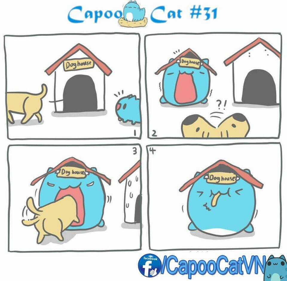 Capoo Cat Chapter 4 trang 0