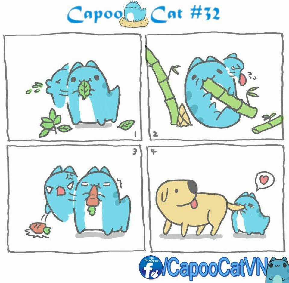 Capoo Cat Chapter 4 trang 1