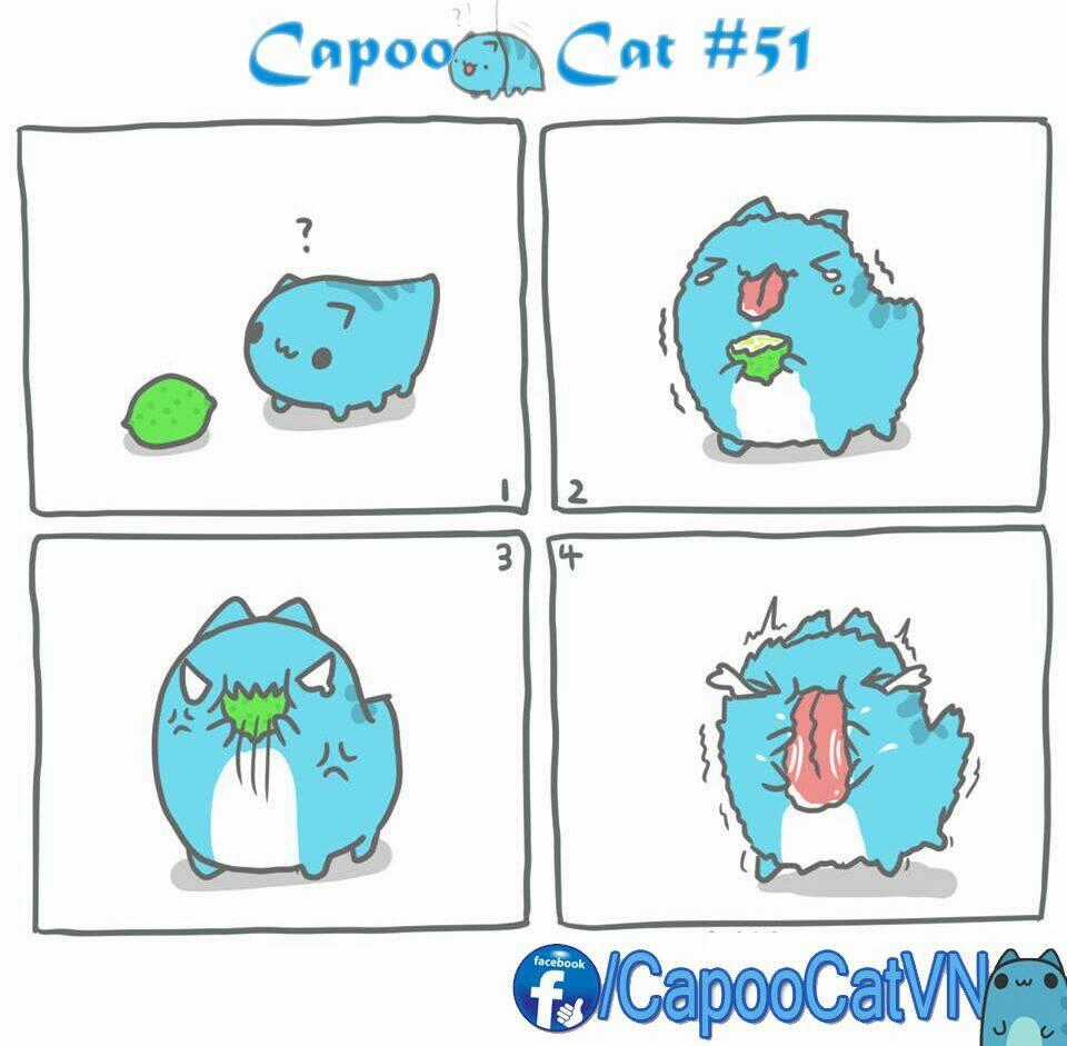 Capoo Cat Chapter 6 trang 0