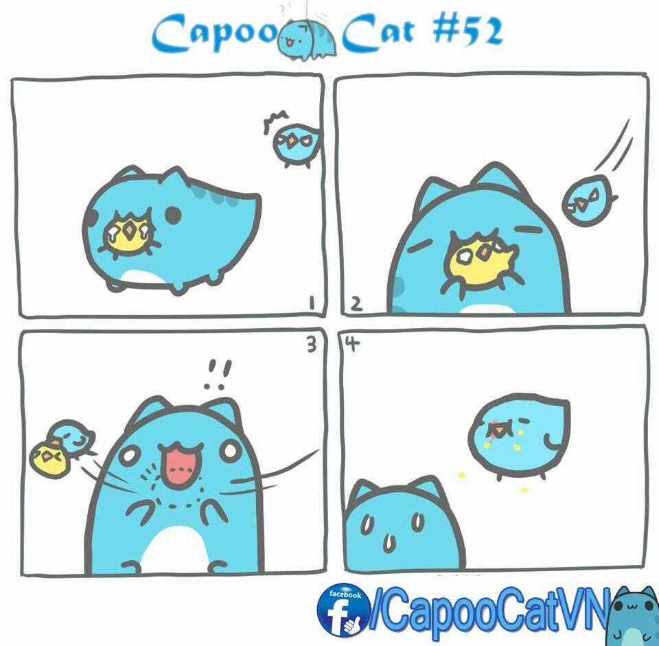 Capoo Cat Chapter 6 trang 1