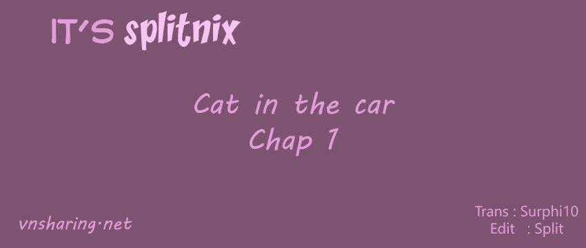 Cat in the car Chapter 1 trang 0