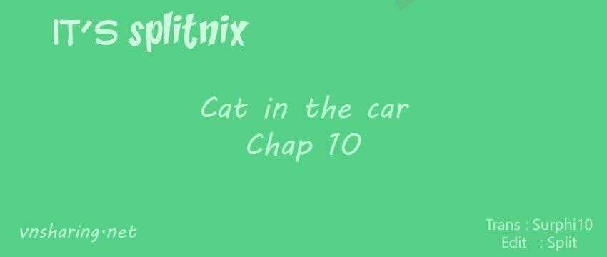 Cat in the car Chapter 10 trang 0