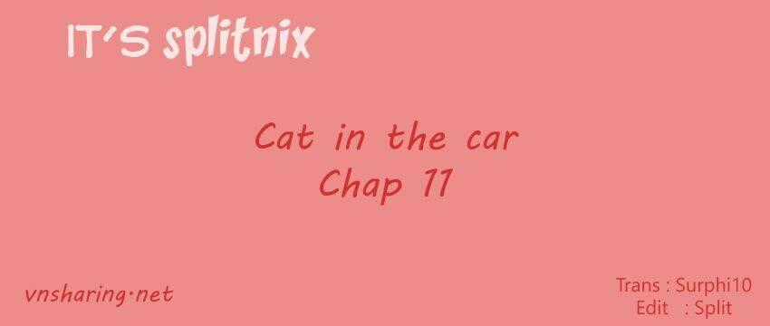 Cat in the car Chapter 11 trang 0