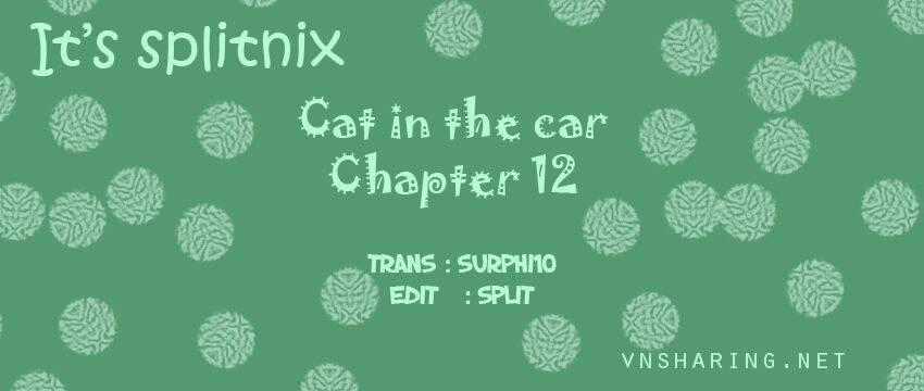 Cat in the car Chapter 12 trang 0