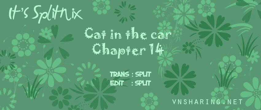 Cat in the car Chapter 14 trang 0