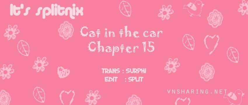 Cat in the car Chapter 15 trang 0