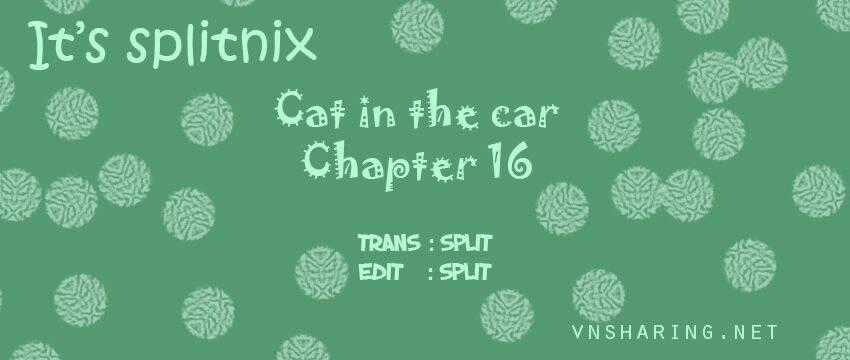 Cat in the car Chapter 16 trang 0