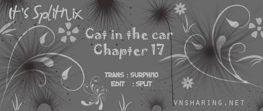 Cat in the car Chapter 17 trang 0