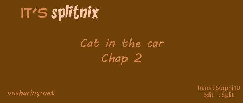 Cat in the car Chapter 2 trang 0