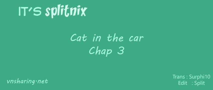 Cat in the car Chapter 3 trang 0