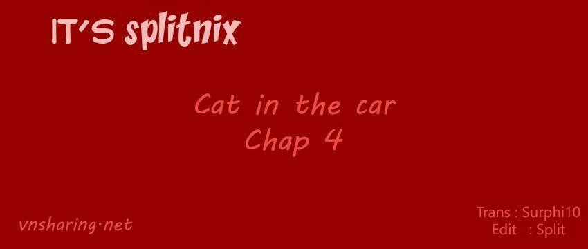 Cat in the car Chapter 4 trang 0