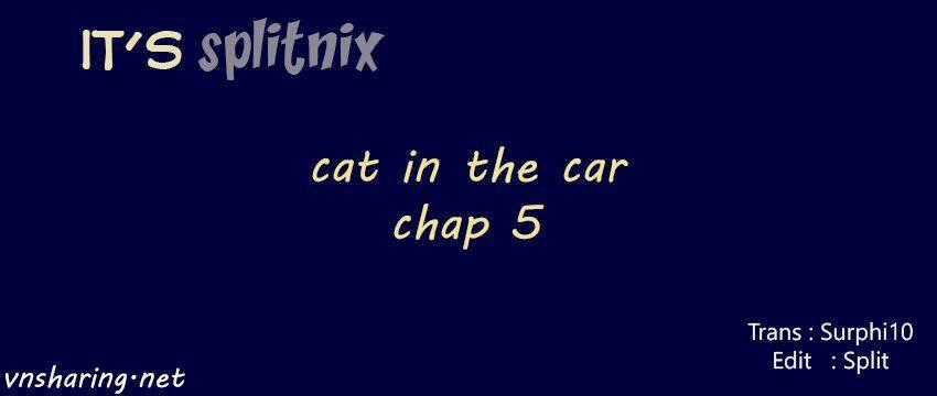 Cat in the car Chapter 5 trang 0