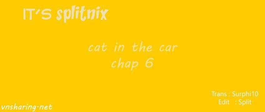 Cat in the car Chapter 6 trang 0