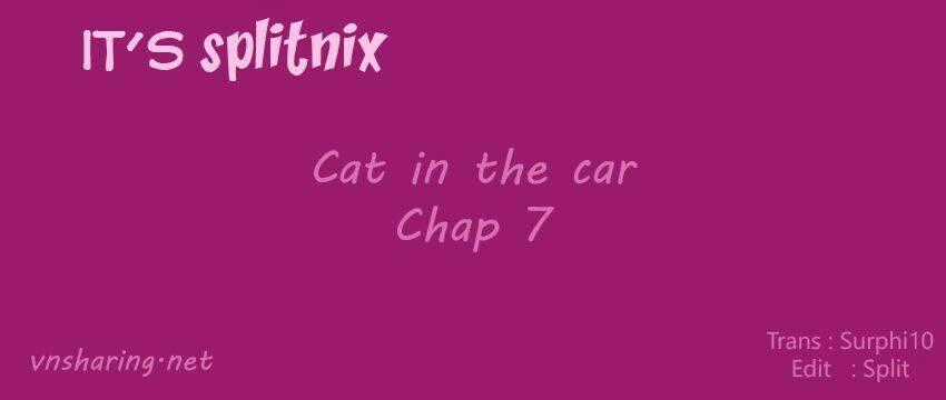 Cat in the car Chapter 7 trang 0