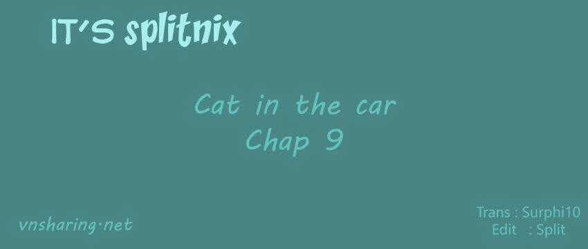 Cat in the car Chapter 9 trang 0