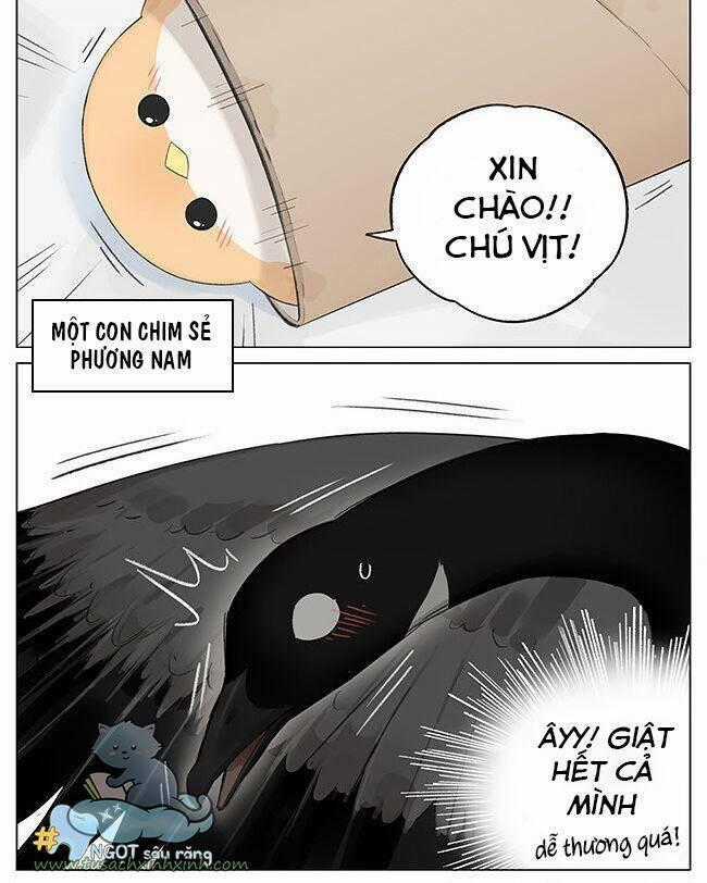 Chim Sẻ Gọi Ngỗng Trời Chapter 3 trang 1