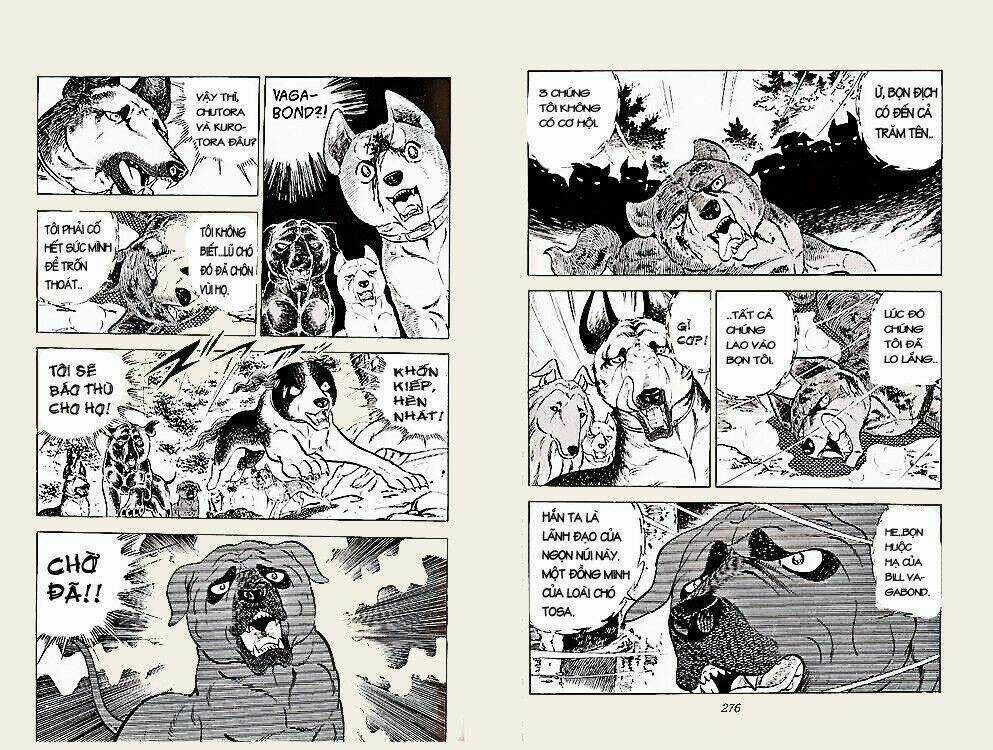 Chú Chó Có Nghĩa - Ginga Nagareboshi Gin Chapter 23 trang 1