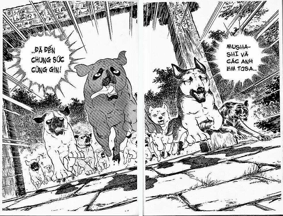 Chú Chó Có Nghĩa - Ginga Nagareboshi Gin Chapter 24 trang 1