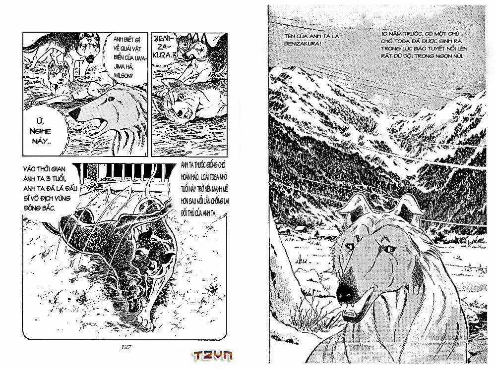 Chú Chó Có Nghĩa - Ginga Nagareboshi Gin Chapter 26 trang 1