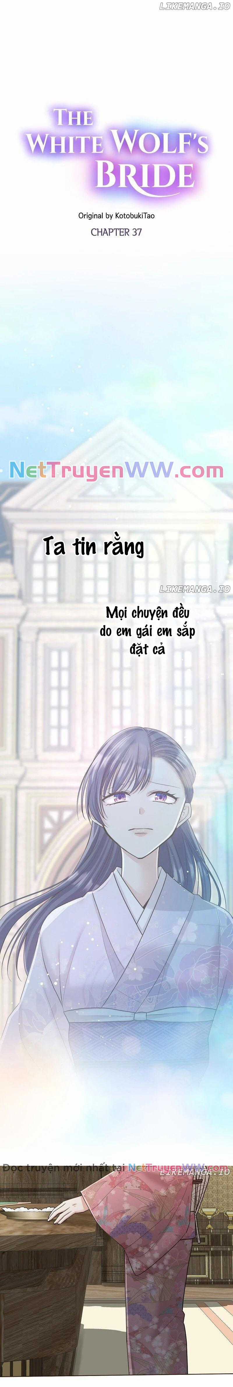 Cô dâu của sói trắng Chapter 37 trang 0