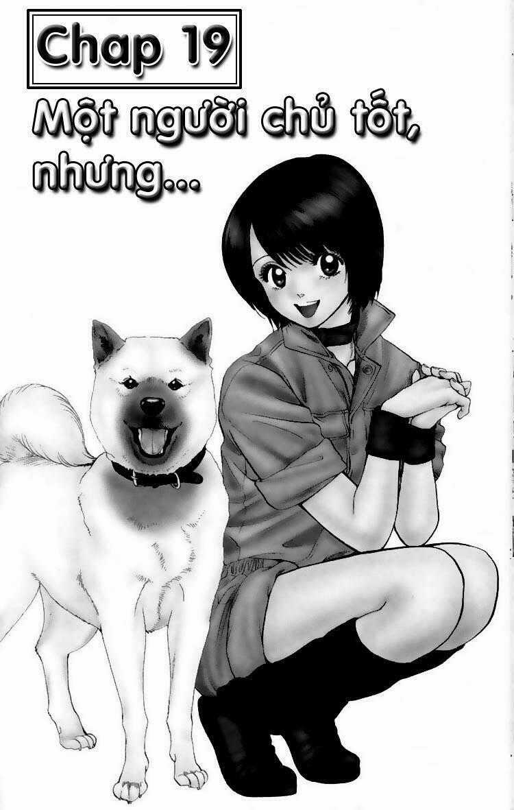 Cô Nàng Yêu Chó Chapter 19 trang 0