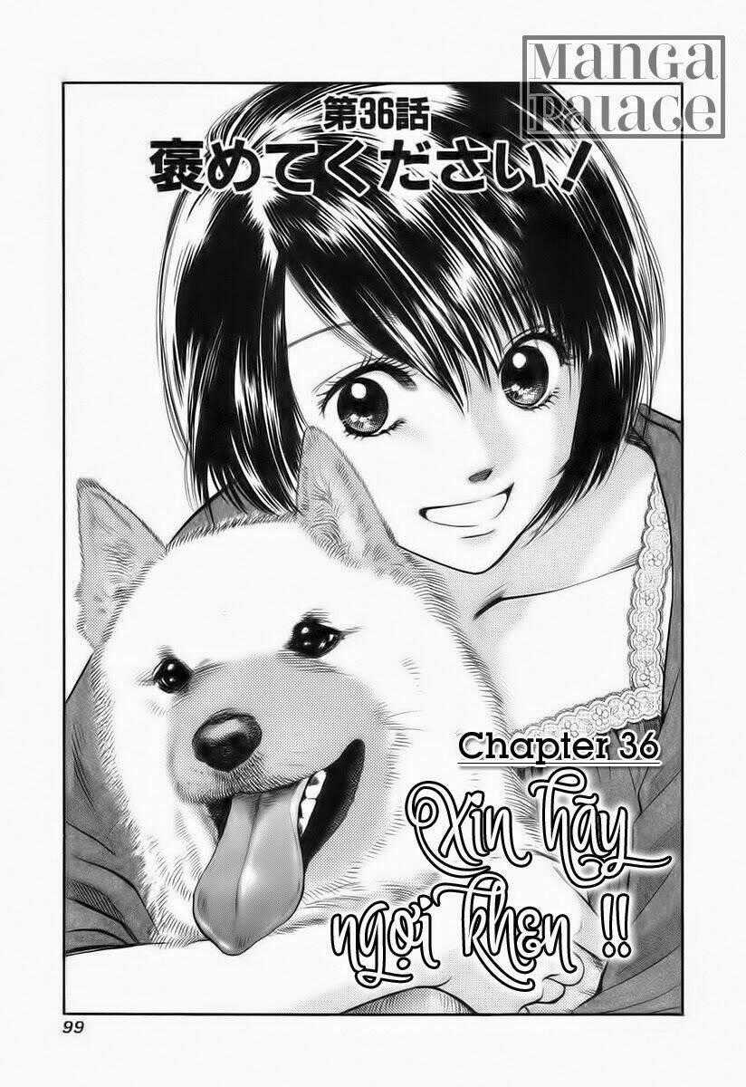 Cô Nàng Yêu Chó Chapter 36 trang 0