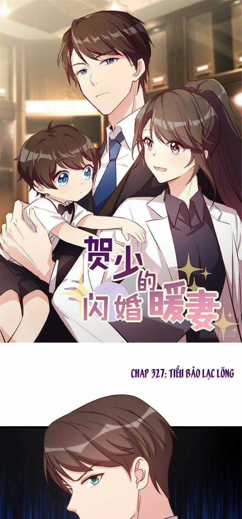 Cô Vợ Ấm Áp Của Hạ Thiếu Chapter 327 trang 0