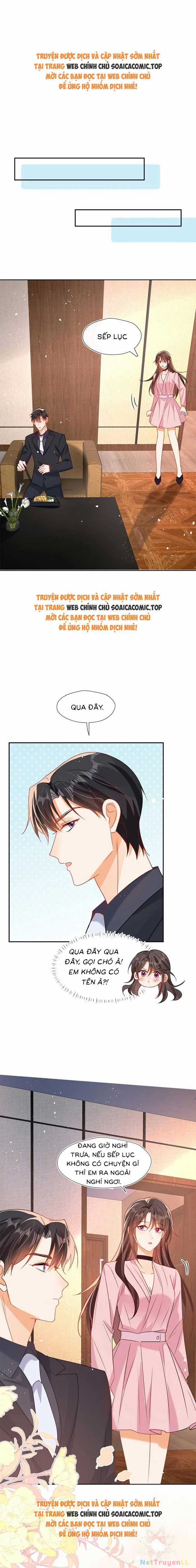 Cùng Lục Gia Yêu Đương Vụng Trộm Chapter 88 trang 1