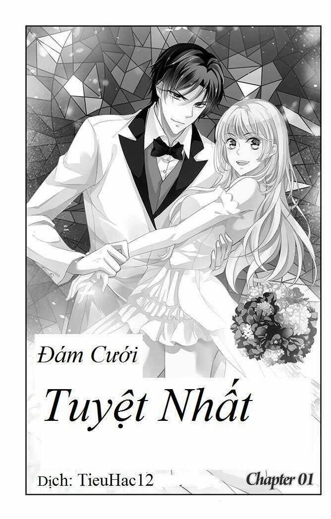 Đám Cưới Tuyệt Nhất Chapter 1 trang 0