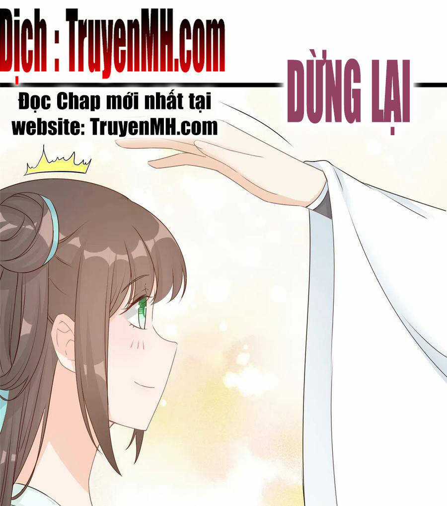 Đồ Đệ Nhà Ta Lại Quải Rồi Chapter 282 trang 1