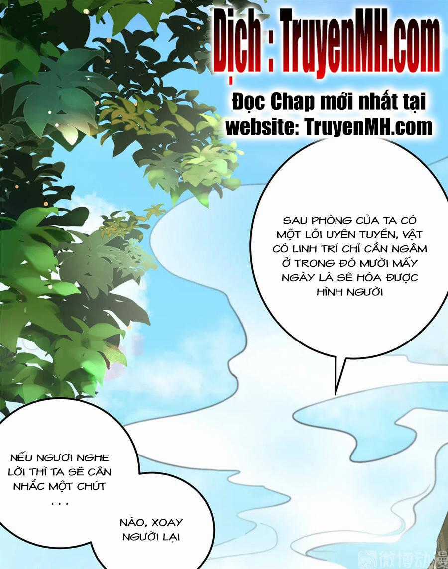 Đồ Đệ Nhà Ta Lại Quải Rồi Chapter 287 trang 1