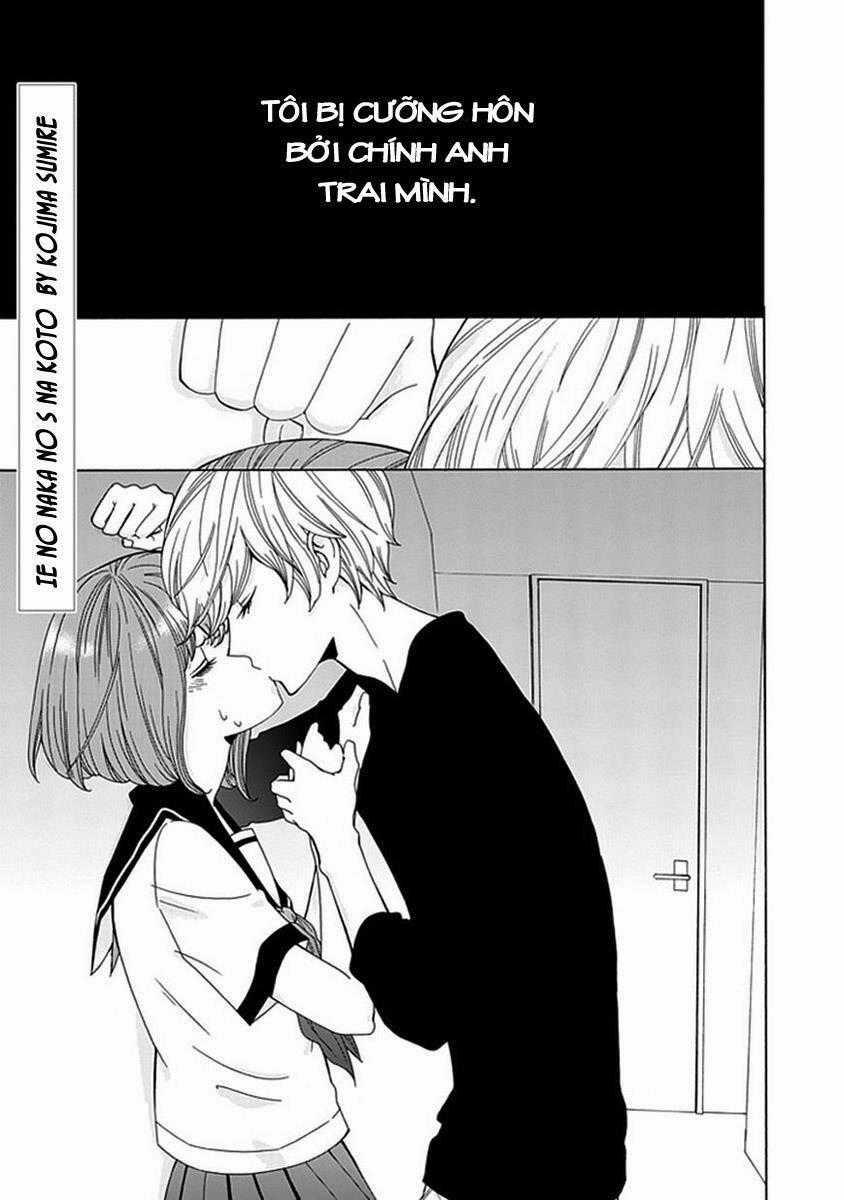 Do S na Oniichan to no Atarashii Koi no Hajimekata Oshiete Kudasai! Chapter 2 trang 1