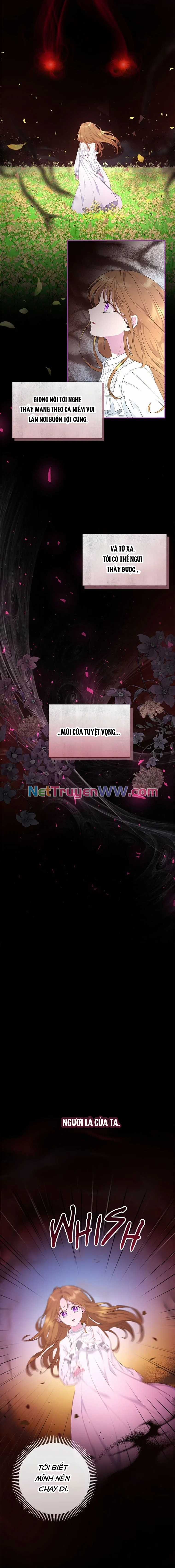 Đoá Violet nở rộ phía sau vườn Chapter 1 trang 1