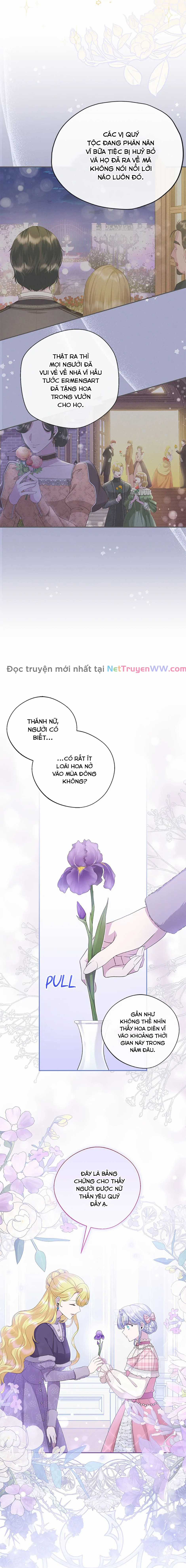 Đoá Violet nở rộ phía sau vườn Chapter 24 trang 1