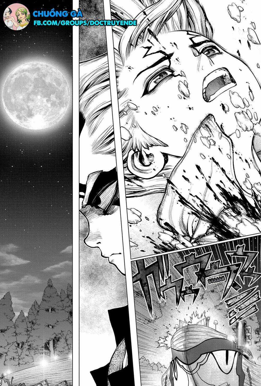 Dr.stone - Hồi Sinh Thế Giới Chapter 160 trang 1