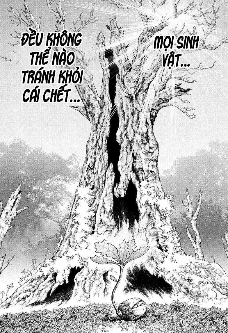 Dr.stone Chapter 230 trang 1