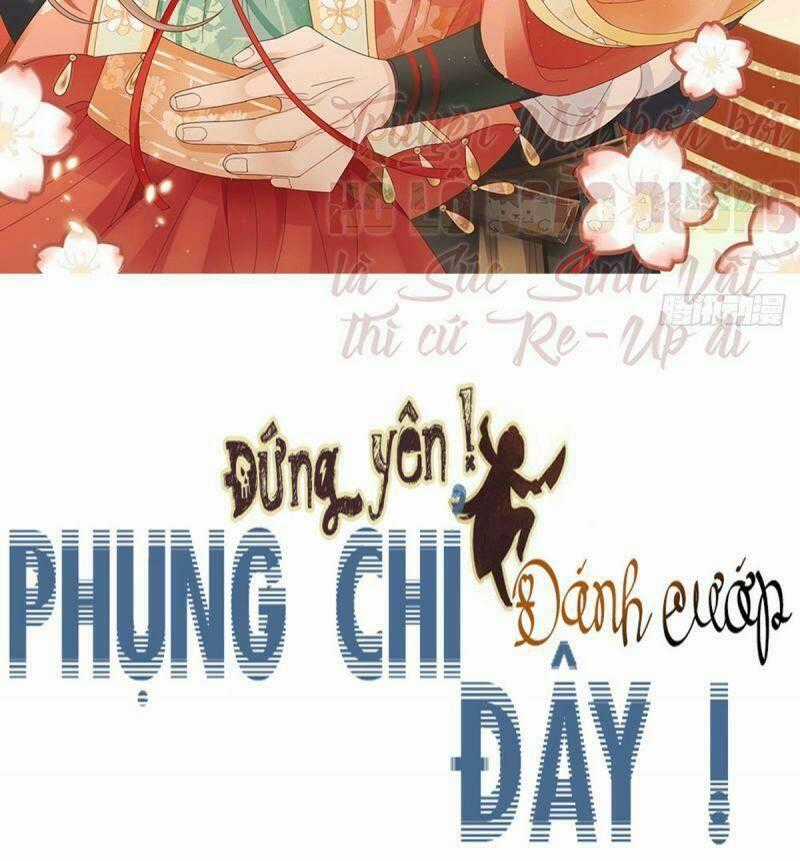 Đứng Yên ! Phụng Chỉ Đánh Cướp Đây Chapter 32 trang 1