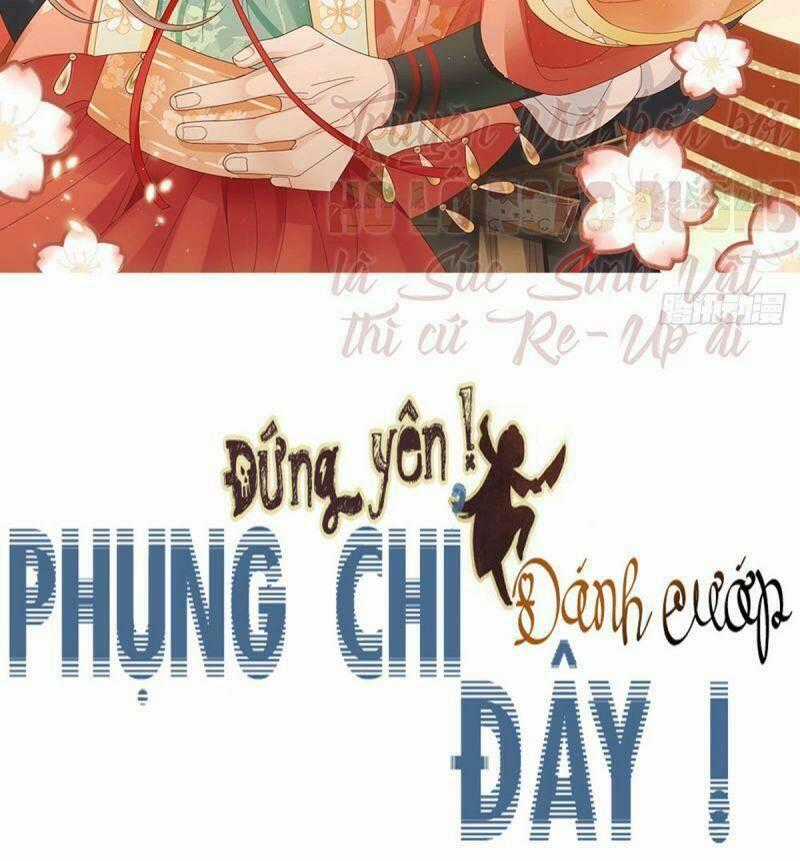 Đứng Yên ! Phụng Chỉ Đánh Cướp Đây Chapter 33 trang 1