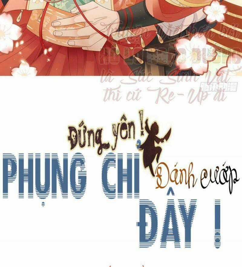 Đứng Yên ! Phụng Chỉ Đánh Cướp Đây Chapter 39 trang 1